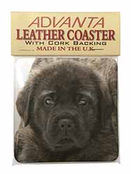 Bullmastiff Puppy Single Leather Photo Coaster