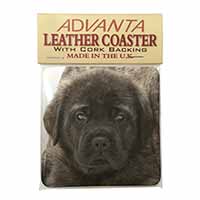 Bullmastiff Puppy Single Leather Photo Coaster