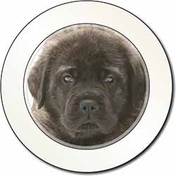 Bullmastiff Puppy Car or Van Permit Holder/Tax Disc Holder