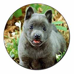Blue Schipperke Dog Fridge Magnet Printed Full Colour