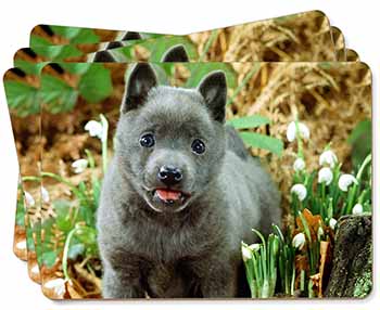 Blue Schipperke Dog Picture Placemats in Gift Box