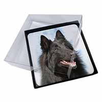4x Black Belgian Shepherd Dog Picture Table Coasters Set in Gift Box