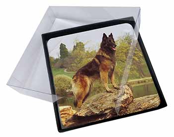 4x Tervueren Belgian Shepherd Dog Picture Table Coasters Set in Gift Box