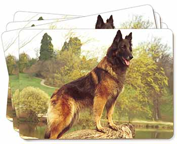 Tervueren Belgian Shepherd Dog Picture Placemats in Gift Box