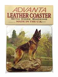 Tervueren Belgian Shepherd Dog Single Leather Photo Coaster