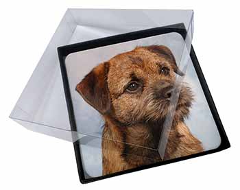4x Border Terrier Picture Table Coasters Set in Gift Box