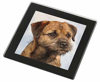 Border Terrier Black Rim High Quality Glass Coaster