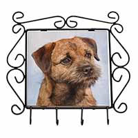 Border Terrier Wrought Iron Key Holder Hooks