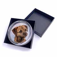 Border Terrier Glass Paperweight in Gift Box