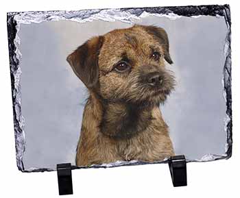 Border Terrier, Stunning Photo Slate