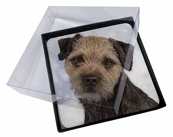 4x Border Terrier Dog Picture Table Coasters Set in Gift Box