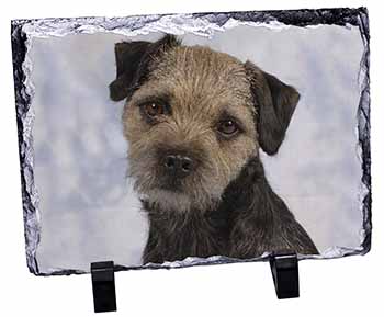 Border Terrier Dog, Stunning Photo Slate