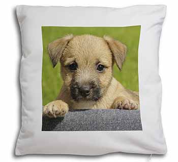 Border Terrier Puppy Soft White Velvet Feel Scatter Cushion