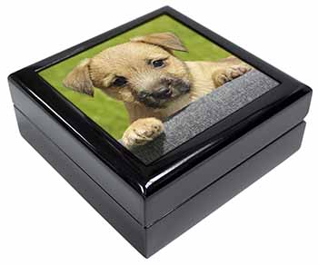 Border Terrier Puppy Keepsake/Jewellery Box