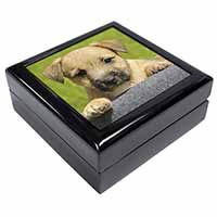 Border Terrier Puppy Keepsake/Jewellery Box