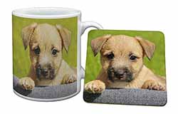 Border Terrier Puppy Mug and Coaster Set