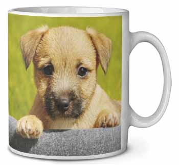 Border Terrier Puppy Ceramic 10oz Coffee Mug/Tea Cup