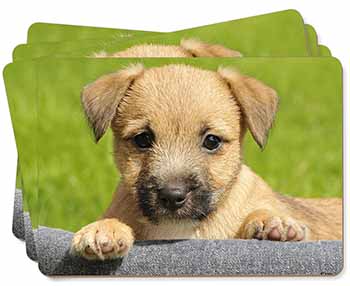 Border Terrier Puppy Picture Placemats in Gift Box