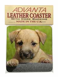 Border Terrier Puppy Single Leather Photo Coaster