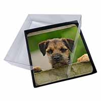 4x Border Terrier Puppy Dog Picture Table Coasters Set in Gift Box