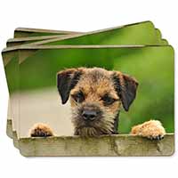 Border Terrier Puppy Dog Picture Placemats in Gift Box
