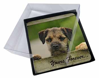 4x Border Terrier Puppy Dog "Yours Forever..." Picture Table Coasters Set in Gif