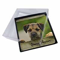 4x Border Terrier Puppy Dog "Yours Forever..." Picture Table Coasters Set in Gif