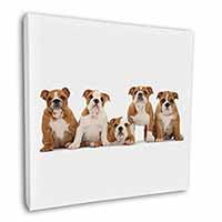 Bulldog Puppy Dogs Square Canvas 12"x12" Wall Art Picture Print