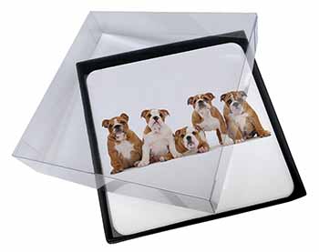 4x Bulldog Puppy Dogs Picture Table Coasters Set in Gift Box