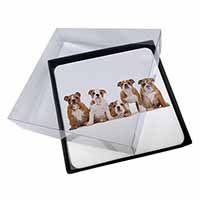 4x Bulldog Puppy Dogs Picture Table Coasters Set in Gift Box