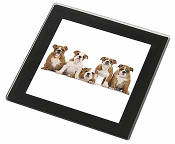 Bulldog Puppy Dogs Black Rim High Quality Glass Coaster