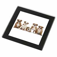 Bulldog Puppy Dogs Black Rim High Quality Glass Coaster