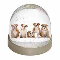 Bulldog Puppy Dogs Snow Globe Photo Waterball