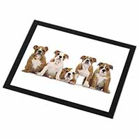 Bulldog Puppy Dogs Black Rim High Quality Glass Placemat