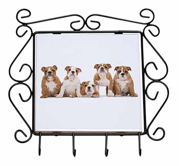 Bulldog Puppy Dogs Wrought Iron Key Holder Hooks