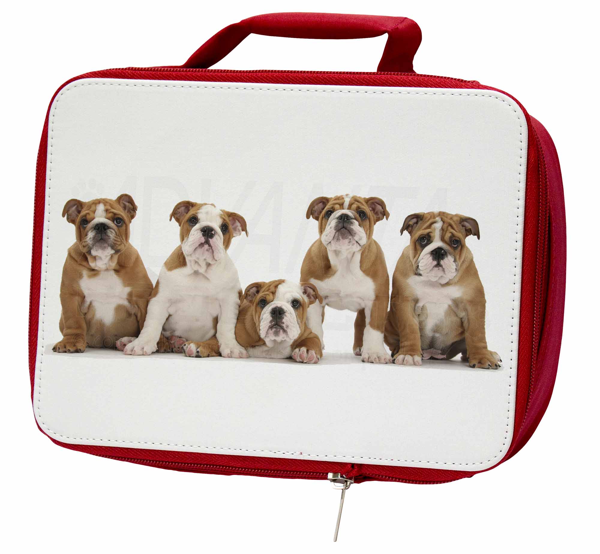 AD-BER1LBR Bernese Mountain Dog Insulated Red School Lunch Box/Picnic Bag 