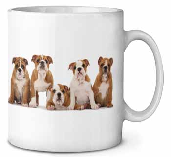 Bulldog Puppy Dogs Ceramic 10oz Coffee Mug/Tea Cup