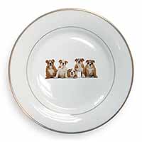 Bulldog Puppy Dogs Gold Rim Plate Printed Full Colour in Gift Box