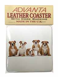 Bulldog Puppy Dogs Single Leather Photo Coaster