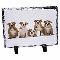 Bulldog Puppy Dogs, Stunning Photo Slate