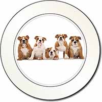 Bulldog Puppy Dogs Car or Van Permit Holder/Tax Disc Holder