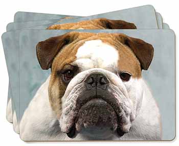 Bulldog Dog Picture Placemats in Gift Box