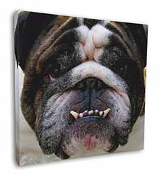 Bulldog Square Canvas 12"x12" Wall Art Picture Print