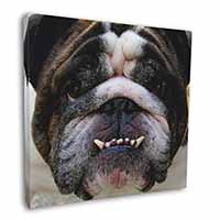 Bulldog Square Canvas 12"x12" Wall Art Picture Print