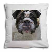 Bulldog Soft White Velvet Feel Scatter Cushion