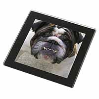 Bulldog Black Rim High Quality Glass Coaster