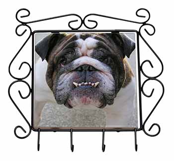 Bulldog Wrought Iron Key Holder Hooks