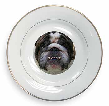 Bulldog Gold Rim Plate Printed Full Colour in Gift Box