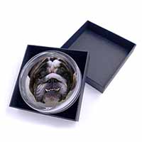 Bulldog Glass Paperweight in Gift Box