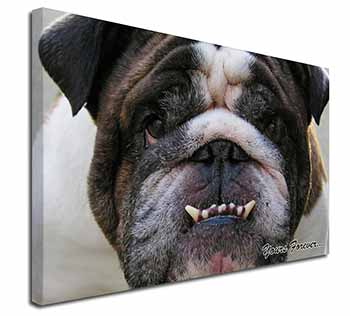 Bulldog "Yours Forever..." Canvas X-Large 30"x20" Wall Art Print